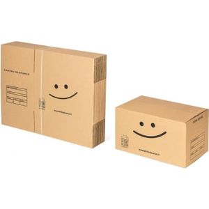 Lot de 20 cartons de déménagement 54L - 60x30x30 cm - Made in France - 70%  FSC certifé - Pack & Move - Cdiscount Bricolage