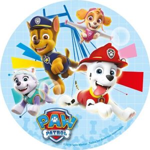 Décoration Cupcake / Gâteau Anniversaire 30 Piques PAT PATROUILLE PAW  PATROL