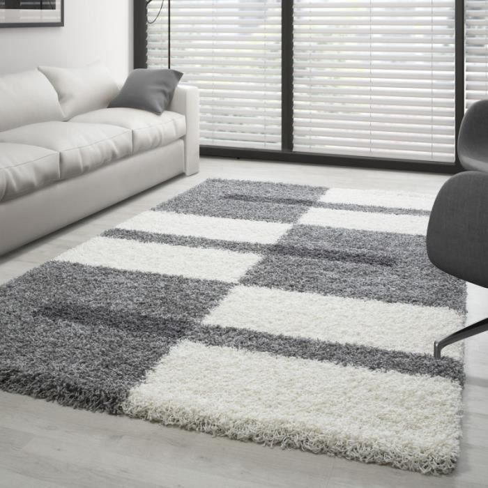 Tapis Gala Shaggy designe pile longue Gris-Blanc-Gris claire (160x230 cm)
