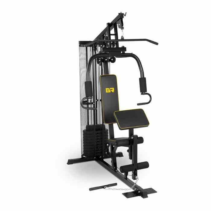 Appareil Musculation Multifonction Machine Station Poste Fitness Entraînement Gymrex GR-HG10 (5-en-1 10 Masses Pupitre Balancier)