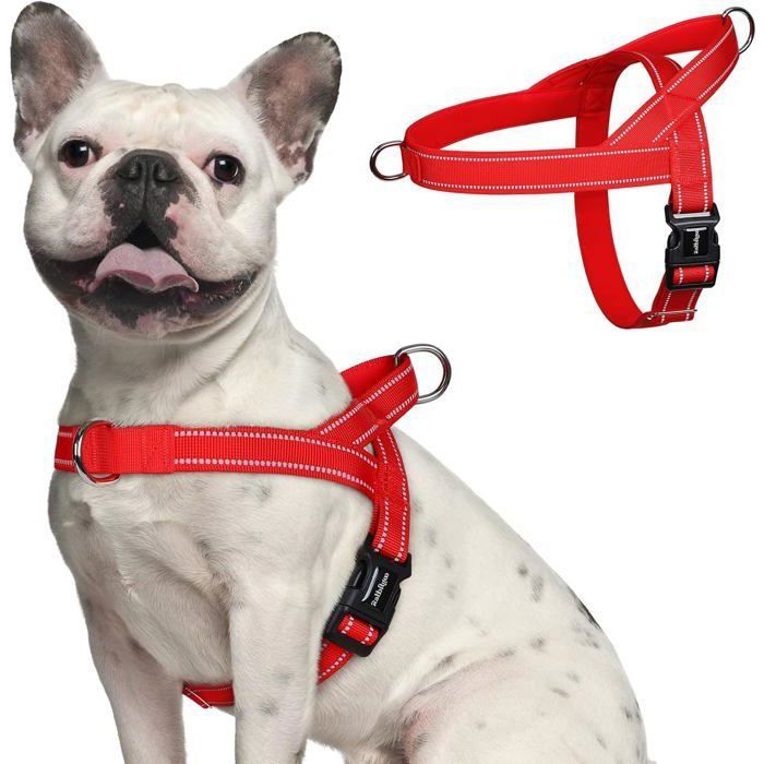 Meilleurs prix pour rabbitgoo Harnais Chien Anti Traction Arnet pour Chien Facile à Mettre Harnais Réfléchissant Réglable avec Attache Devant M Rouge