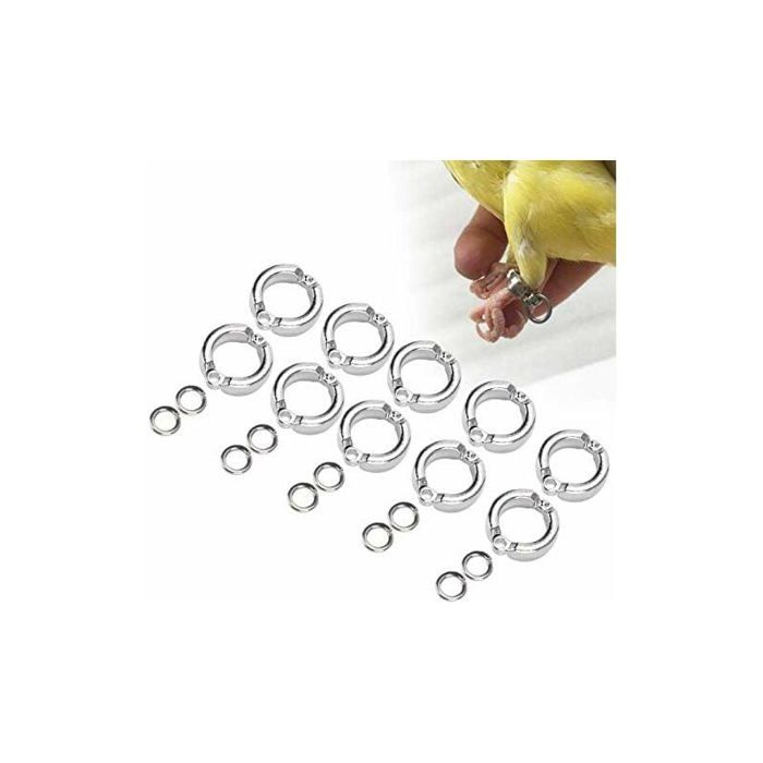 Anneaux de jambe pour perroquet - MICH - 10 pièces - Métal - Réutilisable - Facile à utiliser - Haute résistance