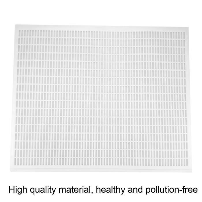 Grille à Reine Pour Ruche - Plastique Professionnel, Sépare La Reine Des Hausses à Miel, Facile à Nettoyer