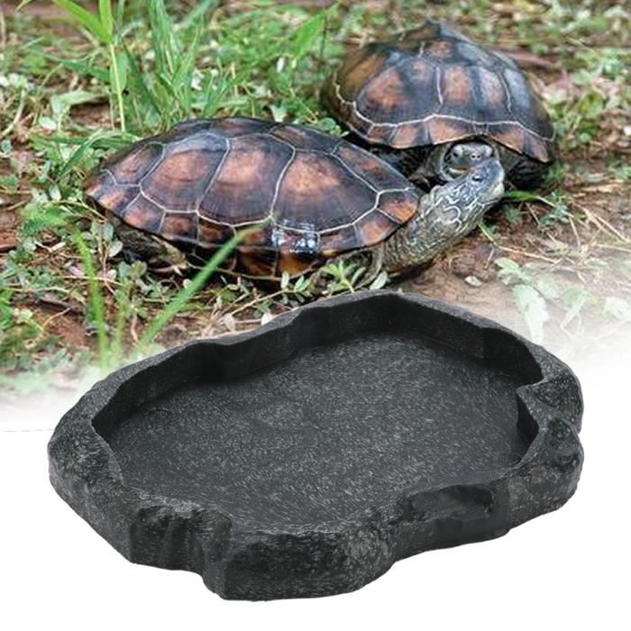 Comparer les prix de Atyhao Gamelle en résine durable pour reptiles, bol d'alimentation et d'eau pour tortue ou lézard (vert M)