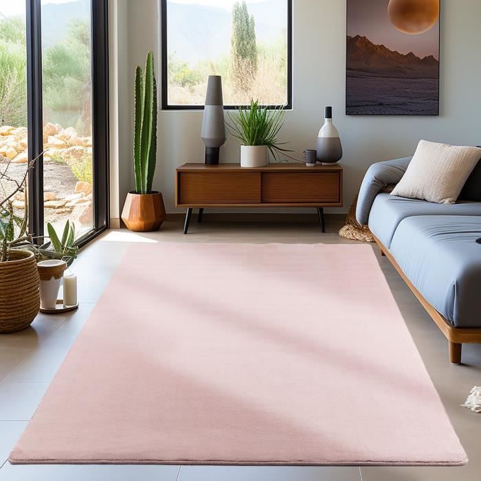 Tapis Poils Ras Couleur Rose Unicolor Monochrome 112301 Tapis tapis-poils-ras-couleur-rose-unicolor-monochrome-112301-tapis