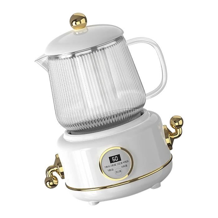 AddAcsaCi Théière Ronde En Verre Borosilicate 500 Ml Avec Filtre Inox - Théière Résistante à La Chaleur