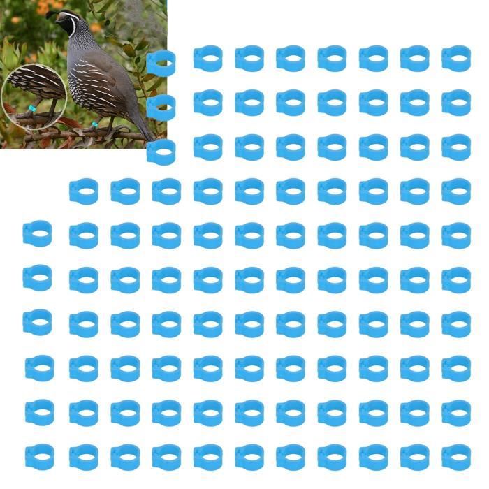 Lot de 100 anneaux pour cuisses de poulet, boutons-pression réglables en plastique, anneaux Lot de 100 anneaux pour cuisses de poulet, boutons-pression réglables en plastique, anneaux