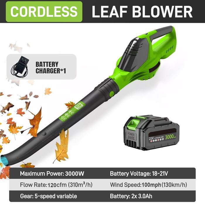 Souffleur De Feuilles Sans Fil 21V - 2 Batteries 3.0Ah - 800W, 210 Km/h - 2 Vitesses - Pour Jardin, Terrasse, Neige - 4