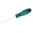 Tournevis Queue Hexagonale 6,35x100mm Lot6mm Pointe Poignée EnPlastique