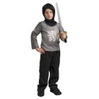 IAMS CHIEN CIJEP Chevalier Lancelot 8/10 Ans Sous Housse