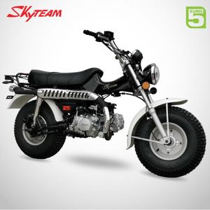MOTO Mini Moto - T-REX 125 - Noir - SKYTEAM