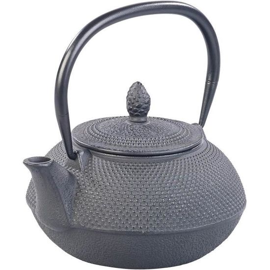 Théière Japonaise Ancienne en Fonte 1.3L – Théière France