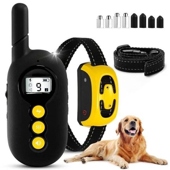 Collier Anti-Aboiement Citronnelle Pour Chien – 3 Niveaux Sensibilité, Étanche IP67, Rechargeable