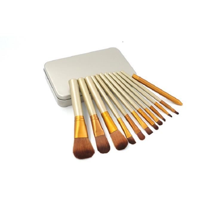 12 pinceaux en fer doré pour le fard à paupières, le blush et la poudre