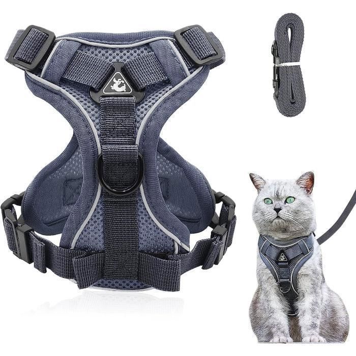 Harnais pour chat - AUTREMENT - Gris - Taille M - Laisse incluse - Anti-éclatement