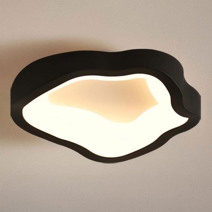 WOTTES Plafonnier LED Style Moderne - 12W Blanc chaude IP54 Imperméable Lampe de Plafond Pour Salon Couloir - 1pcs Noir Ø20CM