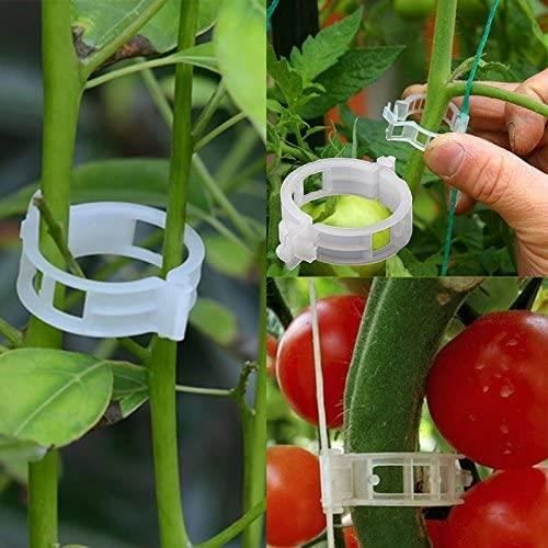 Lot De 100 Clips Pour Orchidées, Support De Tige De Plante En Plastique, Clips De Fixation Pour Plantes De Jardin, Outils Horticoles Pour Le Jardinage D'Orchidées – Tailles
