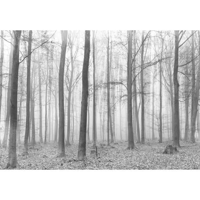 Papier Peint Intissé Forêt noir et blanc 368x254 cm 3D Arbres Panoramique Chambre Salon Photo Non Tissé Muraux Moderne Trompe