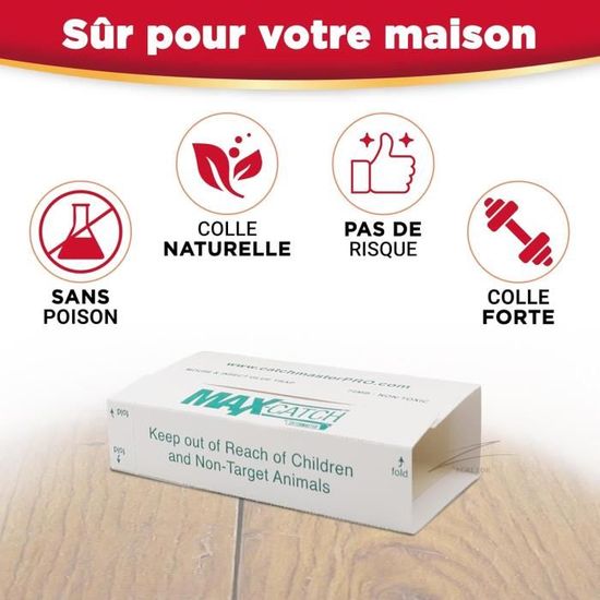 2 pièges à souris pré-appâtés | Castorama 2 pièges à souris pré-appâtés | Castorama