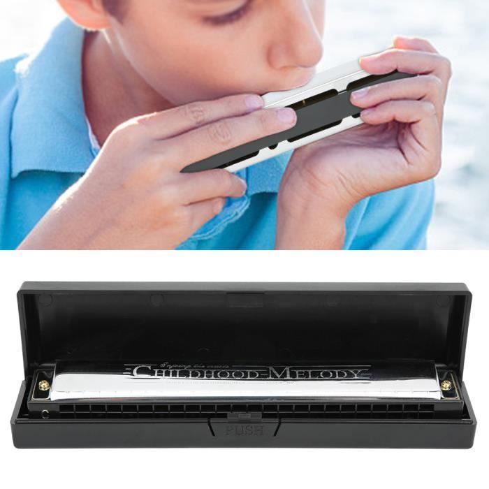 Harmonica Blues En Do 10 Trous - Instrument Débutant - Avec Étui