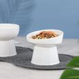 Blanc Double Gamelle Chat Surélevée - Gamelle pour Chat Ceramique avec Tapis Antidérapante - Bol Chat Anti Vomissement pour la 128-3