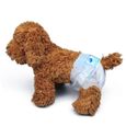 TD® 1 pack de couches jetables pour chien chaud grand animal de compagnie hygiène hygiénique confort absorbant imperméable à l'eau-3