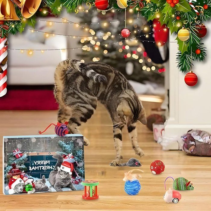 Calendrier De L'Avent Chat 2025 - Décoratif, 24 Jours, Ornements Acrylique - Pour Adultes, Collectionneurs - 26x18 Cm