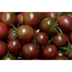 GRAINE - SEMENCE 35 Graines de Tomate Cerise Black Cherry - légumes