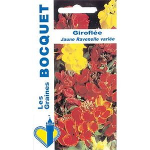 GRAINE - SEMENCE Sachet de  Giroflée ravenelle variée - 1,5 g - fleur vivace - LES GRAINES BOCQUET
