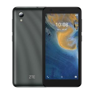 SMARTPHONE Smartphone ZTE ZTEA31LGRY Grigio
