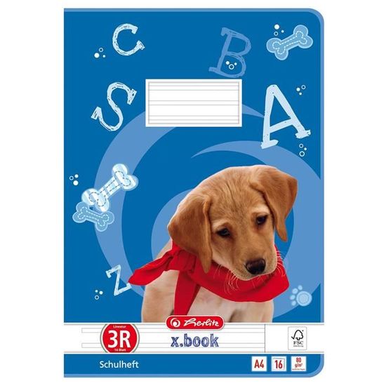 Ciseaux Et Cutter Herlitz Herlitz Cahier X.book, A4, Linéature 2