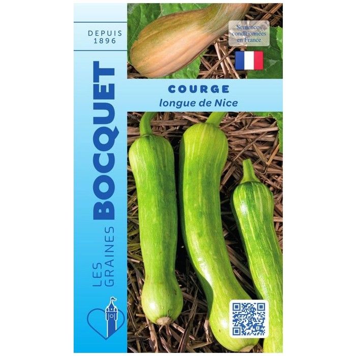 Graine - Semence - Courge Longue de Nice