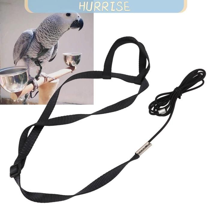 HURRISE Lash de harnais doiseau Harnais Et Laisse oiseau Pour Perroquet Laisse De Vol De Perroquet De animalerie jouet Noir L