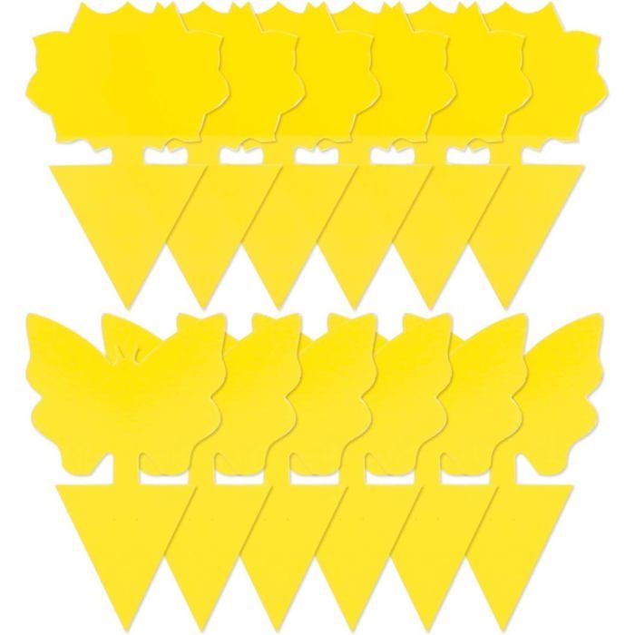 Lot de 12 pièges à mouches des fruits collants et pièges à moucherons fongiques pour intérieur et ex MATERIEL - PRODUIT ENTRETIEN O