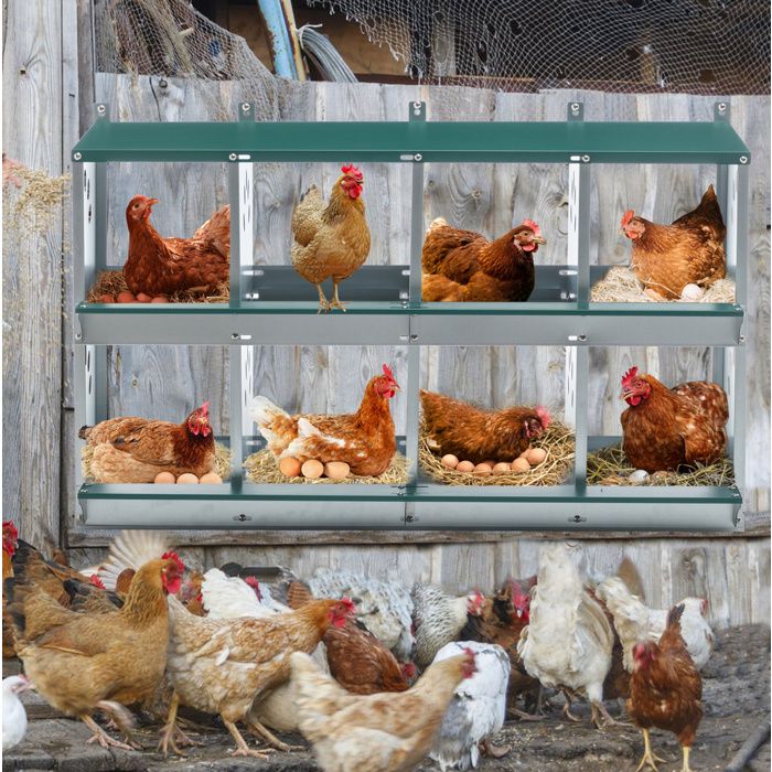 Niche à poules 8 compartiments en métal galvanisé montage mural vert 108 × 41 × 67 cm - UVRION