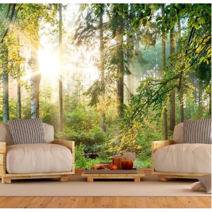 Papier Peint Murando Intissé 300x210 Cm Décoration Murale XXL Poster Tableaux Muraux Tapisserie Photo Trompe L'oeil Abstrait 10110901-20