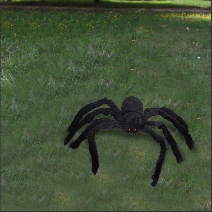 Clest F&H 19,6 Pouces décorations d'halloween en Peluche araignée Noire Halloween décorations de Maison hantée extérieur intérieur