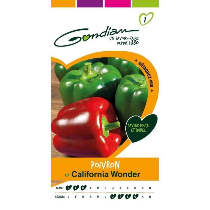 GONDIAN - Graines Légumes : Semences Piment/Poivron California Wonder Rouge