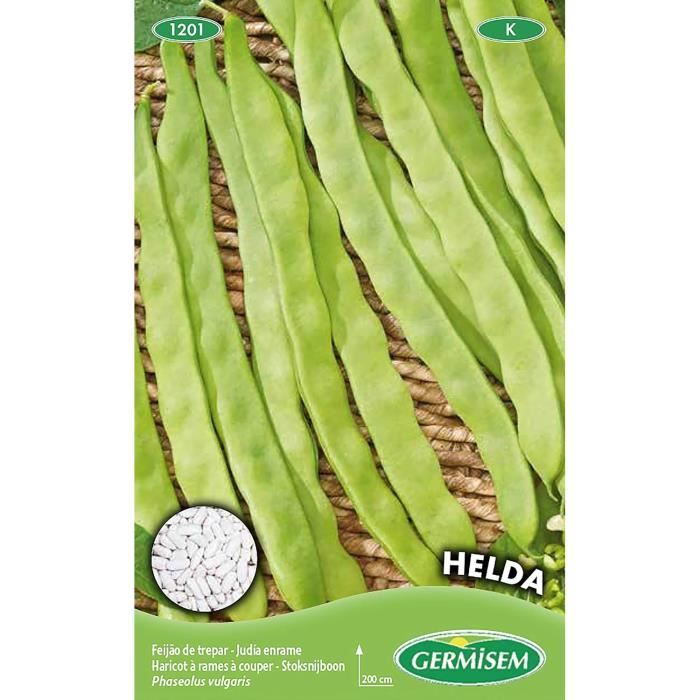Germisem Carouby Graines De Pois Mangetout à Rames 100g - Variété Savoureuse Et Productive