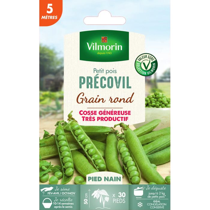 Petit Pois Graine Cdiscount