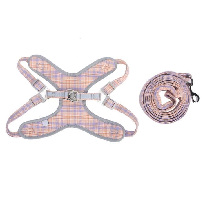 Ensemble De Harnais Pour Chien Stubbs – Racks Harnais, Neuf, Angleterre