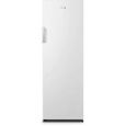 Congélateur armoire 186L 6 tiroirs blanc - FAGOR - No Frost - Autonomie 11h - Congélation 15kg/24h-1