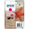 EPSON Cartouche d'encre 603 XL Magenta - Etoile de mer (C13T03A34010)-0