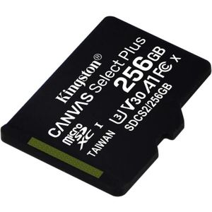 CARTE MÉMOIRE Carte Micro SD Canvas Select Plus SDCS2-256GBSP - 