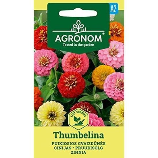 100 Graines De Pivoines Vivaces - Double Pétale - Mélange De Couleurs - Résistantes Au Froid - Haute Qualité
