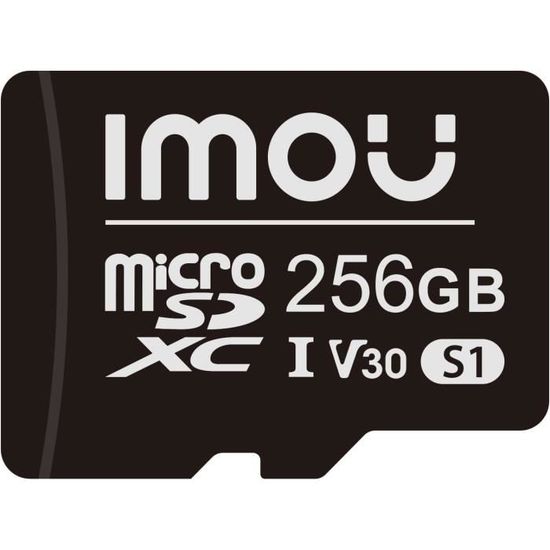 AXE MEMORY Carte SD 256 Go V60 UHS-II - Lecture Jusqu'à 245 Mo/s - Carte Mémoire SDXC 4K Ultra HD Professionnelle