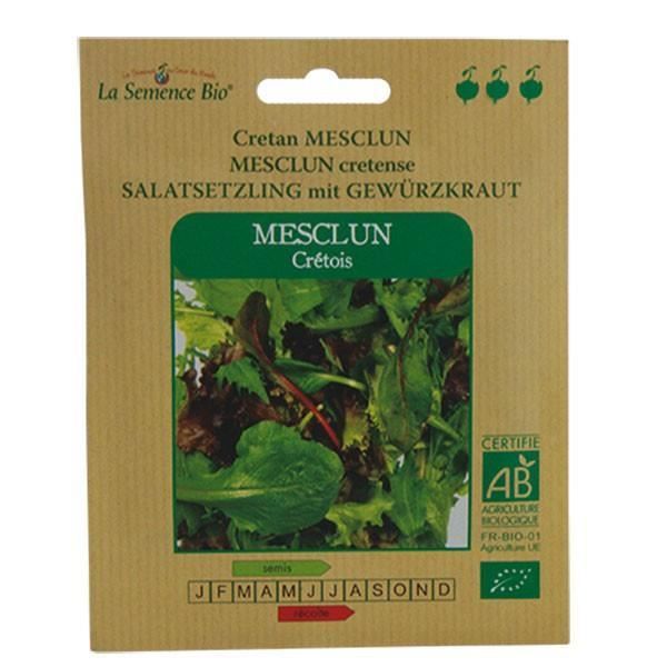 GRAINES BIO -MESCLUN CRETOIS