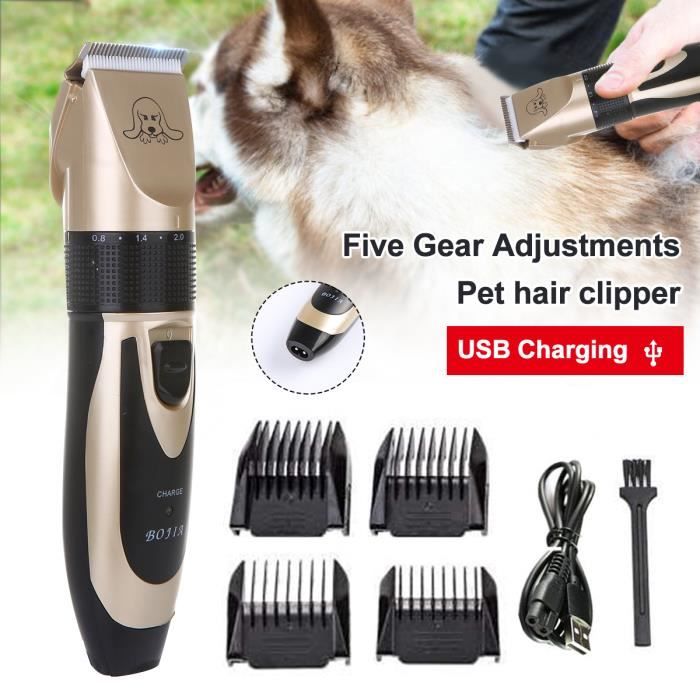 TEMPSA Tondeuse Chien Chat Electrique Rechargeable Tondeuse Sans Fil Faible Bruit Avec 4 Peignes 1 Ciseaux