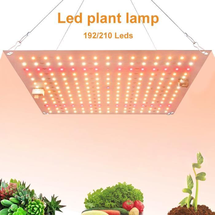 Lampe Horticole LED Croissance Floraison - QINGQUE - Panneau LED rectangulaire 210LED - Blanc - Electrique