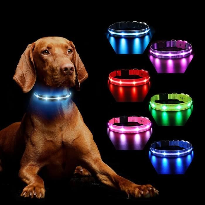 Meilleurs prix pour MASBRILL Collier Lneux Chien, Collier Chien LED Rechargeable avec 7 RGB Couleurs 8 Modes D'éclairage, Réglable et Etanche Cligno171